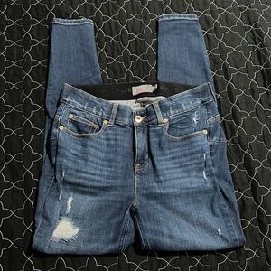 Torrid Jeans 🩵